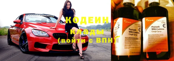 индика Верхний Тагил