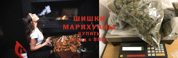 индика Верхний Тагил