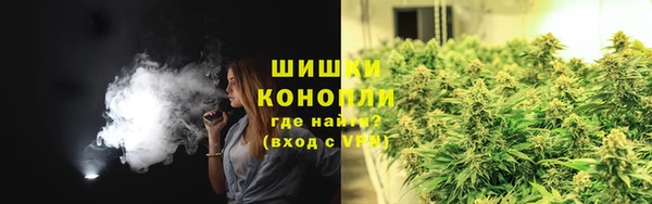 индика Верхний Тагил