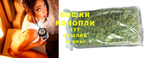 индика Верхний Тагил