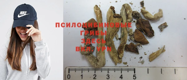 индика Верхний Тагил