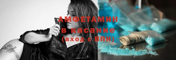 индика Верхний Тагил