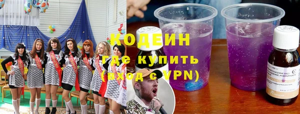 индика Верхний Тагил