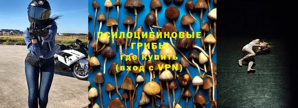 индика Верхний Тагил