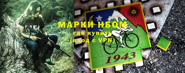 индика Верхний Тагил