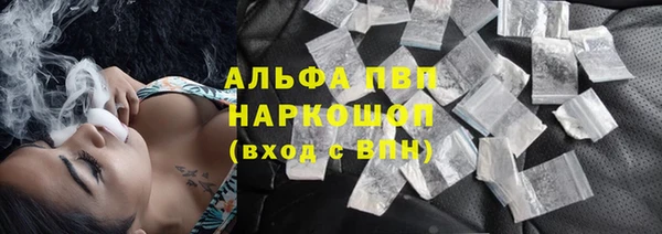 индика Верхний Тагил