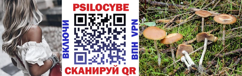 Псилоцибиновые грибы Cubensis гидра tor Орехово-Зуево